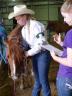 The Nebraska 4-H Horse Program horsemanship advancement levels are designed to serve as guides for instruction  and evaluation of each members progress. The correct handling of horses is emphasized from the beginning level to the  most advanced level.