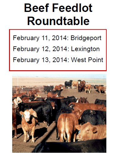 The Beef Feedlot Roundtable is sponsored by UNL Extension, ISU Extension, and the Nebraska Beef Council.