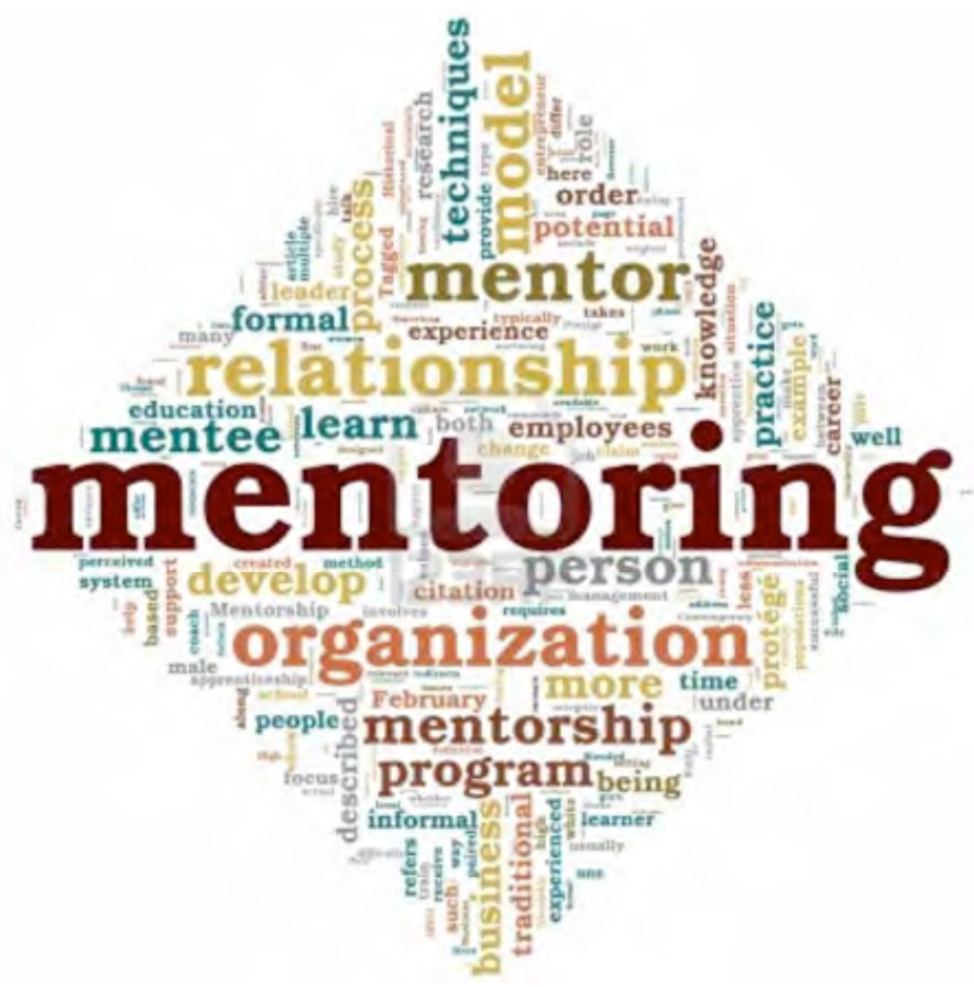 Mentor applications for school year 2014-2015 are now available.