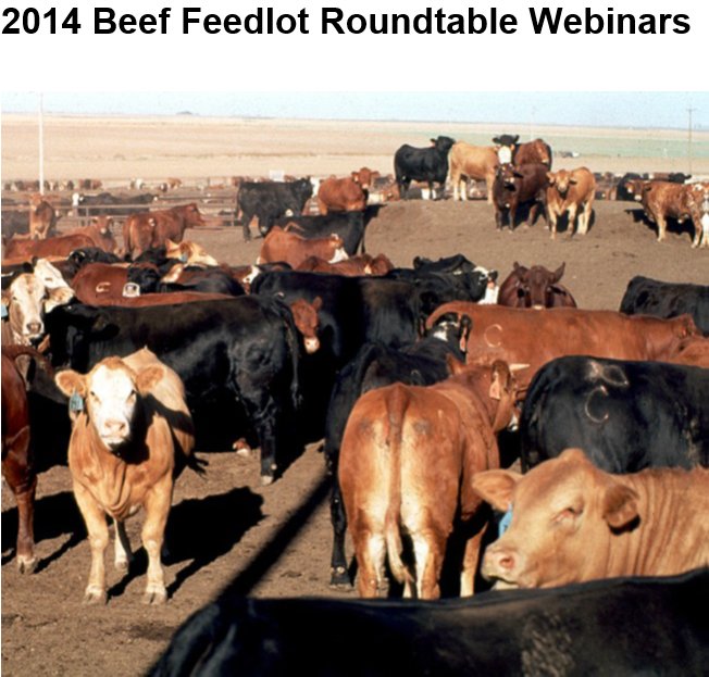 2014 Beef Feedlot Roundtable Webinars Are Now Available On-line.