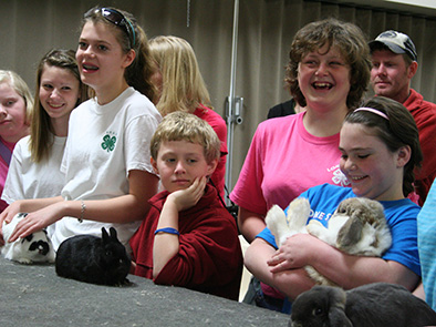 In showmanship classes, youth are judged on presentation and knowledge of animal. In rabbit classes, the rabbits are judged.