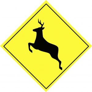 deer-warning-road-sign.jpg