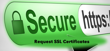 UNL, through it's association with InCommon provides SSL certs free of charge to the campus