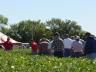 UNL Extension work includes a variety of farm-related workshops. Extension opens a celebration of its 100th year on May 8.