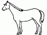 Draw your horses markings as accurately as you can. Also, be sure and indicate the horse’s color on the drawing. 