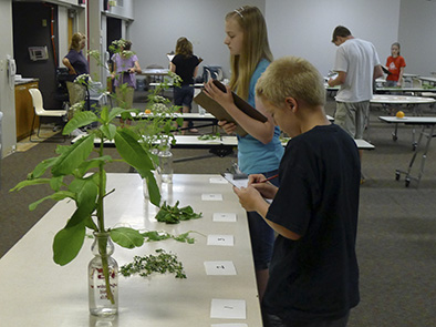 The Plant Science Contests include three contests: tree identification, grass-weed identification, and horticulture contest.