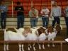 The statewide Premier Animal Science Events includes a varity of livestock-related contests.