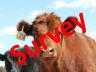We would appreciate your feedback on the UNl Extension Beef survey.