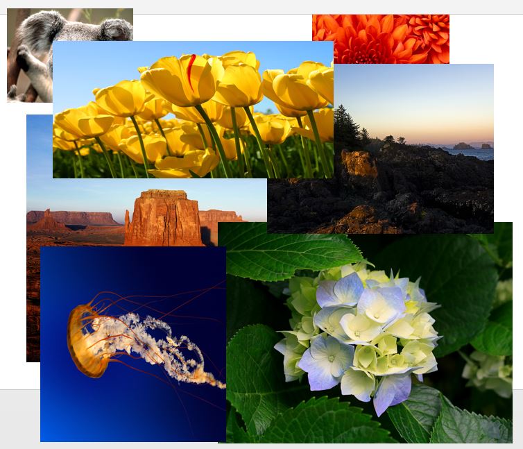 Tips, Tricks & Other Helpful Hints: Resizing Multiple Pictures at Once in PowerPoint