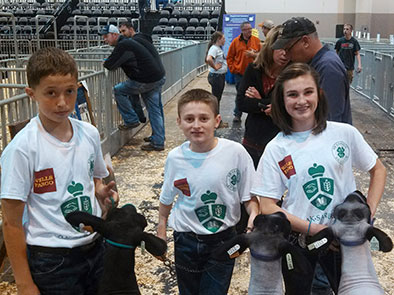 The Ak-Sar-Ben 4-H Stock Show includes dairy, feeder calf & breeding beef, market beef, market broilers, meat goats, market lamb, market swine, rabbit and dairy steer. 