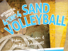 WEB.im.sandvolleyball.fall14.png