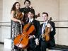 The Skyros String Quartet includes (left to right) Sarah Pizzichemi, violin; Justin Kurys, viola; William Braun, cello; and James Moat, violin.