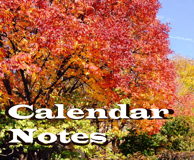 November Calendar Notes 
