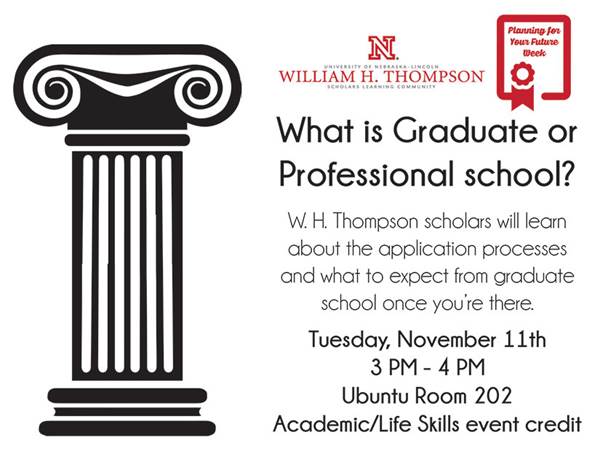What is Graduate or Professional school?