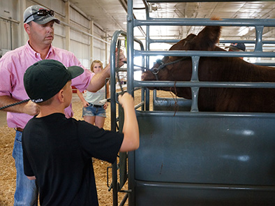 Pictured is market beef weigh-in at the 2014 Lancaster County Super Fair.