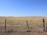 Drought can play havoc on pasture leases.  Photo courtesy of Troy Walz.