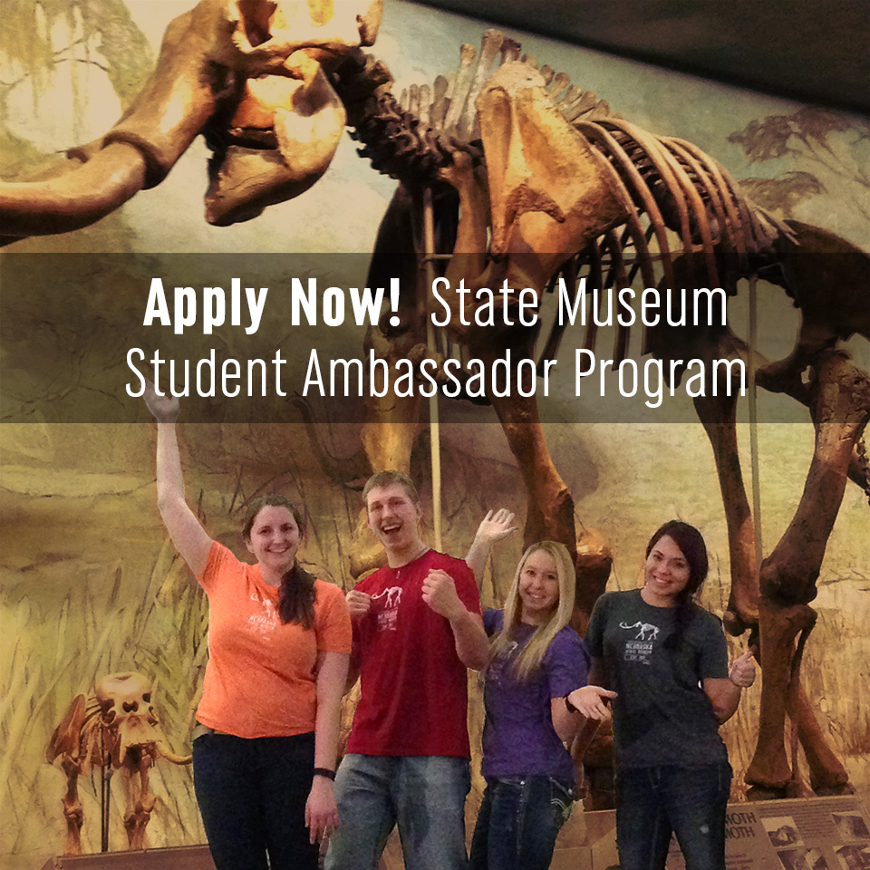 State Museum Student Ambassadors