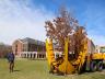 A Table Rock sugar maple is put into place in the greenspace west of Selleck Hall on UNL's City Campus on March 26. The tree was one of nearly 20 recently moved due to campus construction projects. (Troy Fedderson | University Communications) 