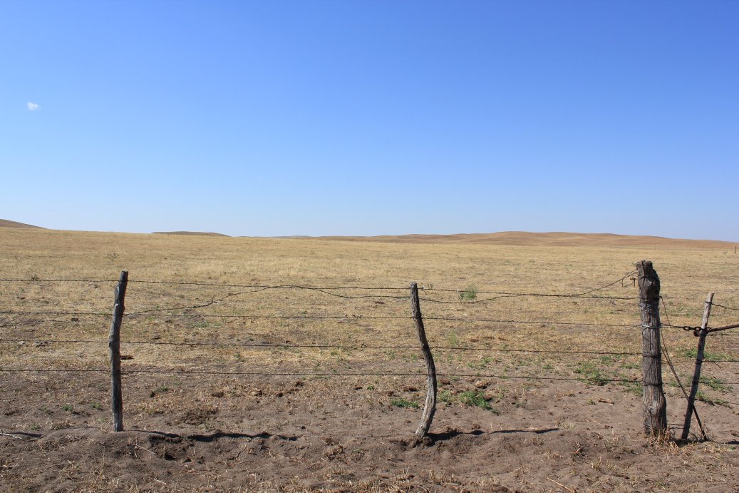 Even though we don’t know for sure how pasture conditions will turn out it’s never too early to make drought management plans. Photo courtesy of Troy Walz.