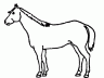 Draw your horses markings as accurately as you can. Also, be sure and indicate the horse’s color on the drawing.