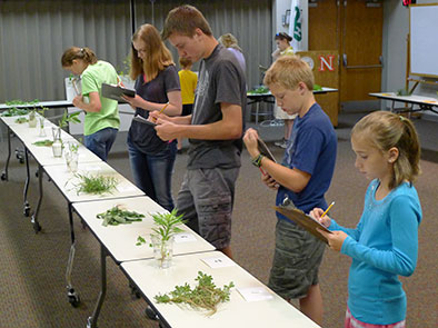 The Plant Science Contests include: tree identification, grass-weed identification, and horticulture contest.