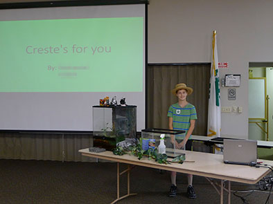  A 4-H "Illustrated Presentation" is a live presentation with a formal talk where youth will use visual aids (such as props, posters, computer-based visuals, handouts, video, etc.) 