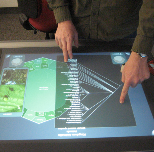 The "Life on Earth" project will develop a multi-touch table top evolution exhibit like the one shown here.