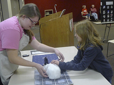 Sessions at the Rabbit Clinic include showmanship.