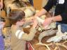 Wildlife Club members help a young visitor identify an animal skull.