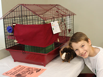 The Pet Pals 4-H club is for youth and their small animals, such as guinea pigs (pictured)