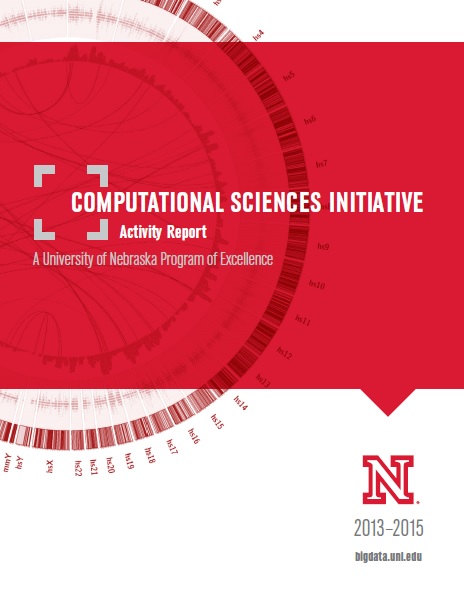 Computational Sciences Initiative Activity Report