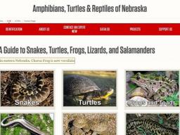 The "Amphibians, Turtles & Reptiles of Nebraska" website aims to educate the public about herpetology.