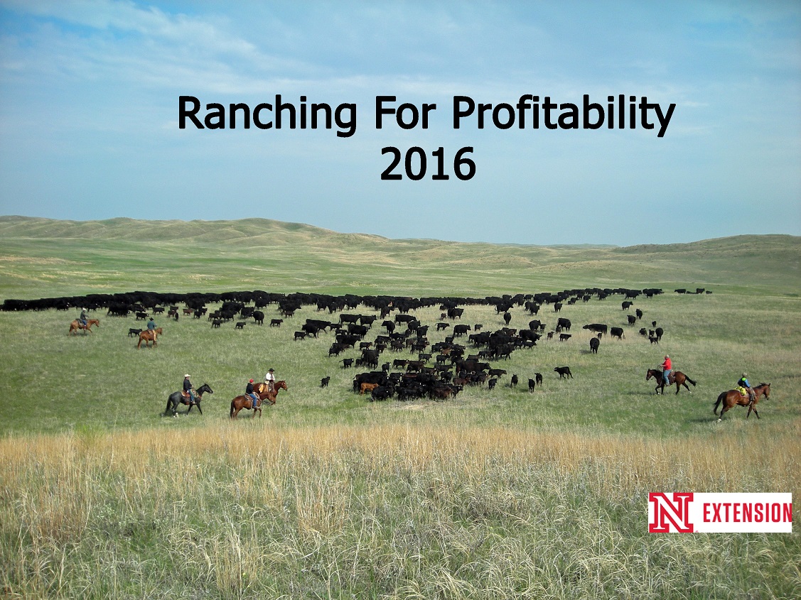 Ranching for Profitability Series - Looking to 2016.  Photo courtesy of Troy Walz.