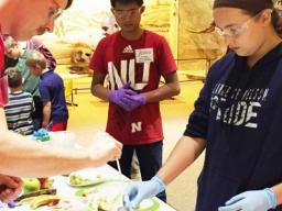 Students and families participate in a Sunday with a Scientist event at the University of Nebraska State Museum. UNL's Science Literacy Initiative served as a guest presenter to help educate young people on topics relating to science, technology, engineer