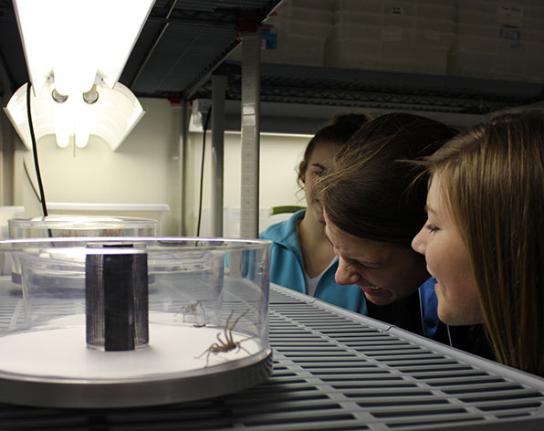 Spider Lab in Manter Hall