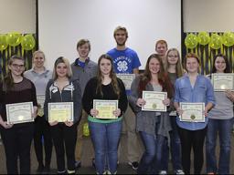 One of the awards recognized at 4-H Achievement Celebration was the Community Service Awards. Pictured are the 14 and over winners.