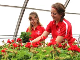 Horticulture Club members prepare for the spring sale.