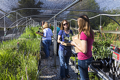 Annual Arboretum plant sale is set for Saturday.