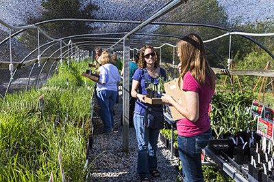 Arboretum plant sales for Fridays through June 17 at the East Campus greenhouse.