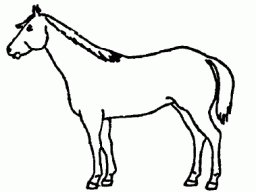 Draw your horses markings as accurately as you can. Also, be sure and indicate the horse’s color on the drawing.
