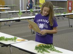 Tree identification is one of the three 4-H Plant Science Contests held June 22.