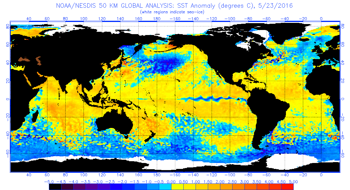 Global sea surface temperature anomalies. (NOAA Office of Satellite and Product Operations)