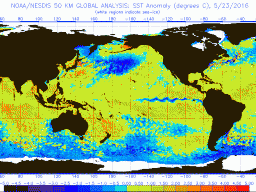 Global sea surface temperature anomalies. (NOAA Office of Satellite and Product Operations)