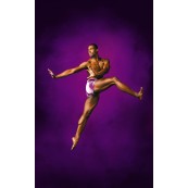 Alvin Ailey American Dance Theatre: March 8, 2011.jpeg