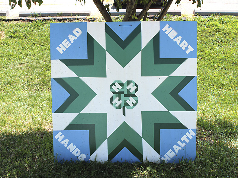 An entry from the 2015 Super Fair Barn Quilt Contest.