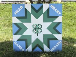 An entry from the 2015 Super Fair Barn Quilt Contest.