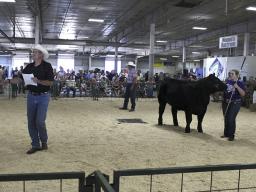 Youth Livestock Premium Auction at the 2015 Lancaster County Super Fair