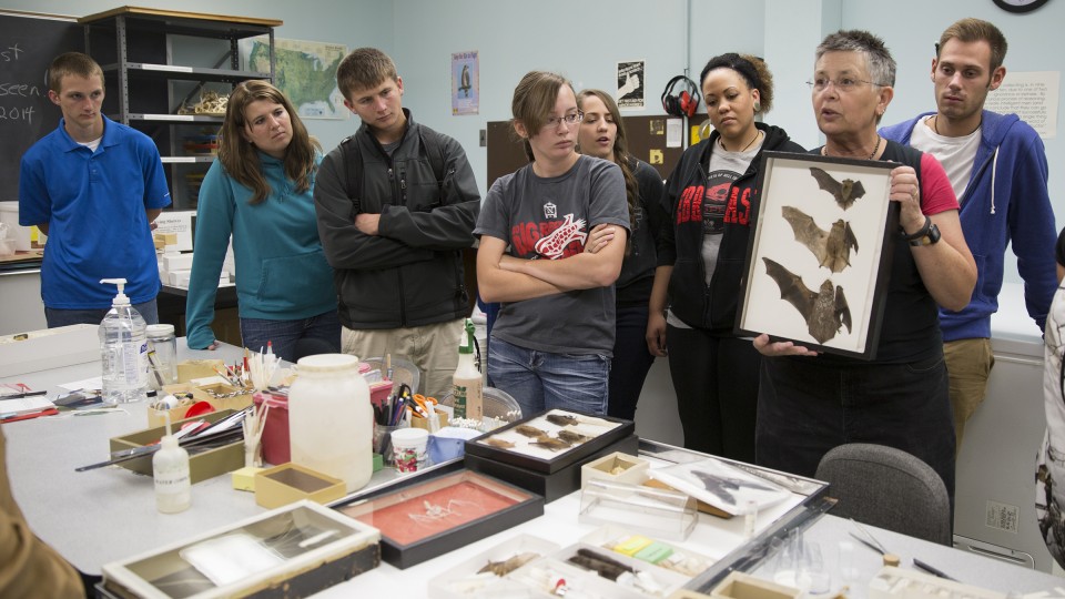 SNR's Trish Freeman (second from right) discusses Nebraska bats during a natural resources orientation class in 2014. (University Communications) 