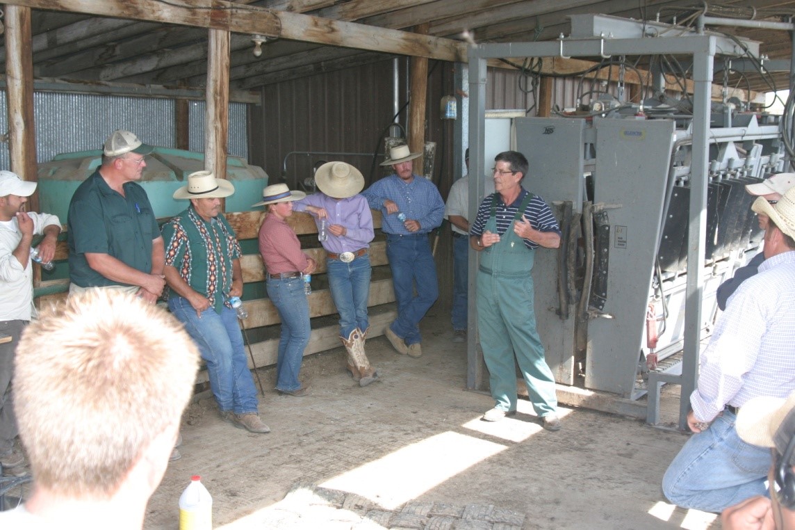 The Nebraska Extension Feedlot School will be offered at four locations.  Photo courtesy of Matt Luebbe.