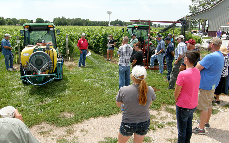 Gary Thompson, owner of Old Cellar Vineyard, discusses mechanization practices at the UNL Viticulture Field Day on July 16.  |  Photo by Stephen Gamet
